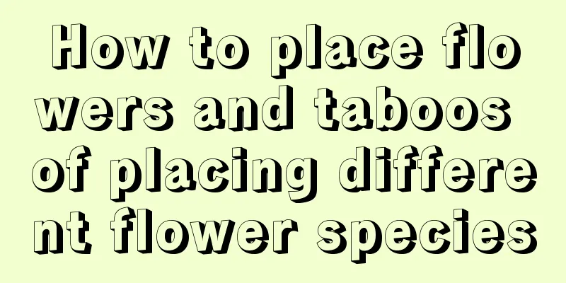 How to place flowers and taboos of placing different flower species