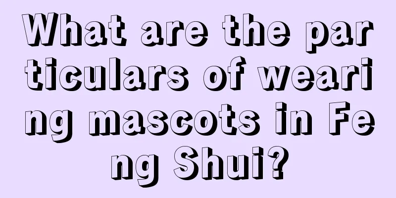 What are the particulars of wearing mascots in Feng Shui?