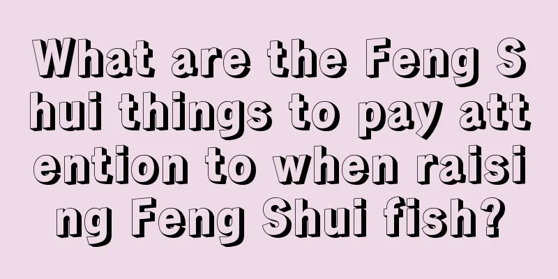 What are the Feng Shui things to pay attention to when raising Feng Shui fish?