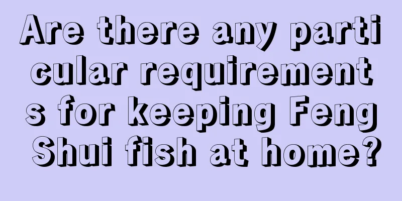Are there any particular requirements for keeping Feng Shui fish at home?