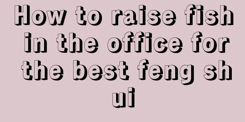 How to raise fish in the office for the best feng shui