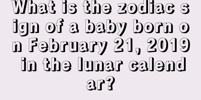 What is the zodiac sign of a baby born on February 21, 2019 in the lunar calendar?