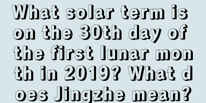 What solar term is on the 30th day of the first lunar month in 2019? What does Jingzhe mean?