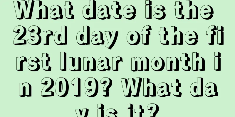 What date is the 23rd day of the first lunar month in 2019? What day is it?