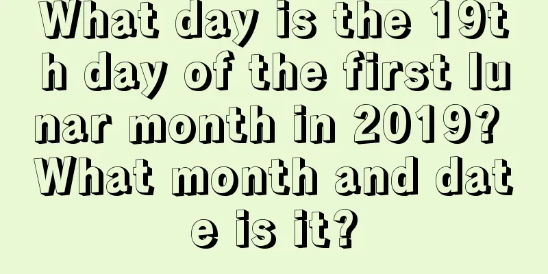 What day is the 19th day of the first lunar month in 2019? What month and date is it?
