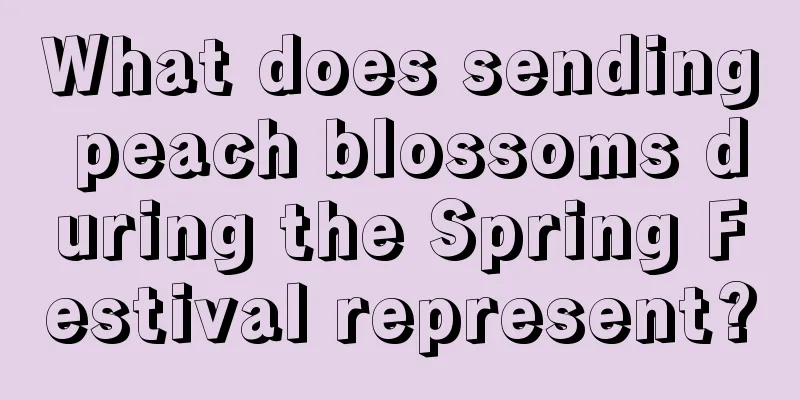 What does sending peach blossoms during the Spring Festival represent?