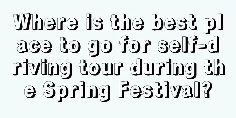 Where is the best place to go for self-driving tour during the Spring Festival?