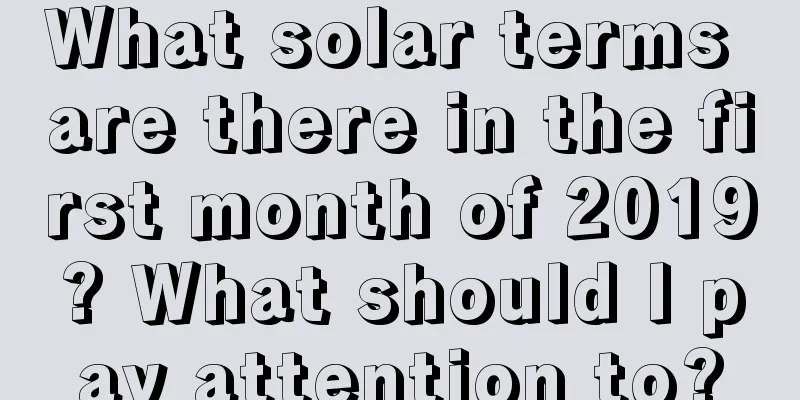 What solar terms are there in the first month of 2019? What should I pay attention to?