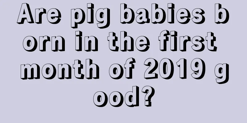 Are pig babies born in the first month of 2019 good?