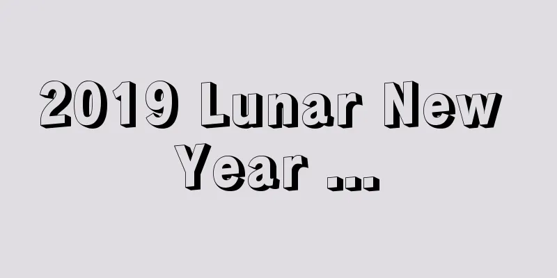 2019 Lunar New Year ...