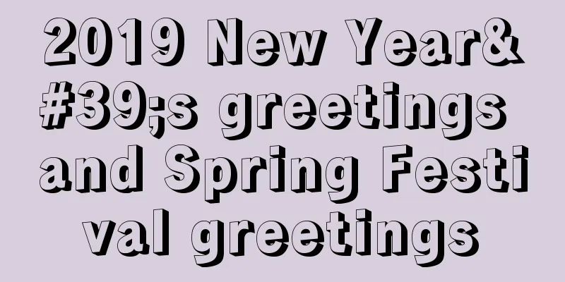 2019 New Year's greetings and Spring Festival greetings