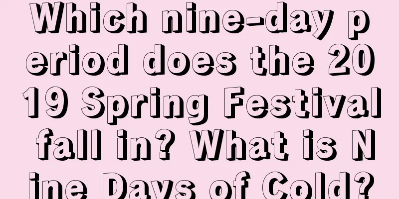 Which nine-day period does the 2019 Spring Festival fall in? What is Nine Days of Cold?