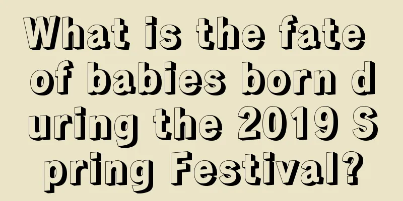 What is the fate of babies born during the 2019 Spring Festival?
