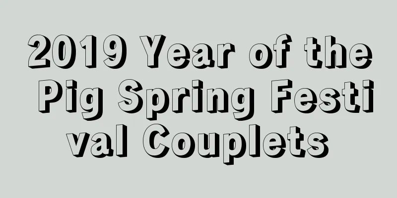 2019 Year of the Pig Spring Festival Couplets