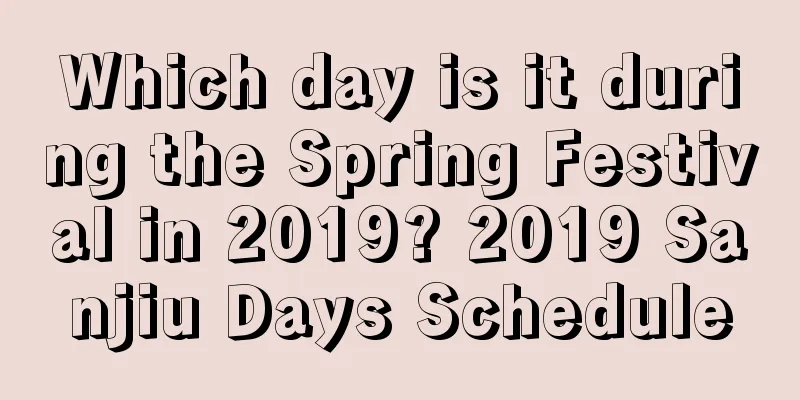 Which day is it during the Spring Festival in 2019? 2019 Sanjiu Days Schedule