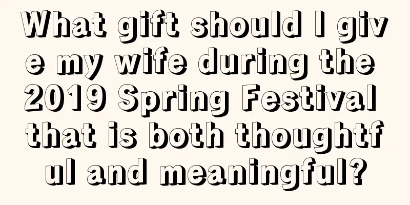 What gift should I give my wife during the 2019 Spring Festival that is both thoughtful and meaningful?