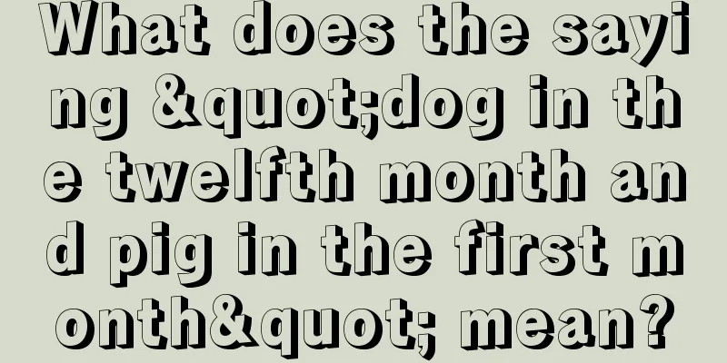 What does the saying "dog in the twelfth month and pig in the first month" mean?