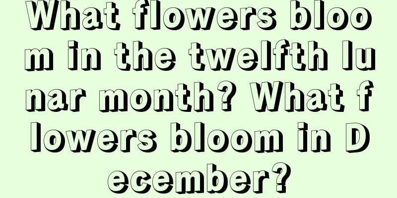 What flowers bloom in the twelfth lunar month? What flowers bloom in December?
