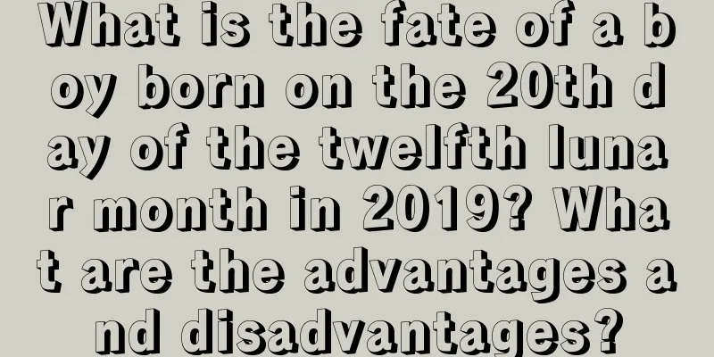 What is the fate of a boy born on the 20th day of the twelfth lunar month in 2019? What are the advantages and disadvantages?