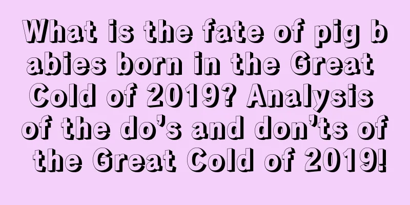 What is the fate of pig babies born in the Great Cold of 2019? Analysis of the do’s and don’ts of the Great Cold of 2019!
