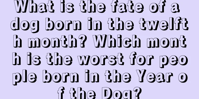 What is the fate of a dog born in the twelfth month? Which month is the worst for people born in the Year of the Dog?