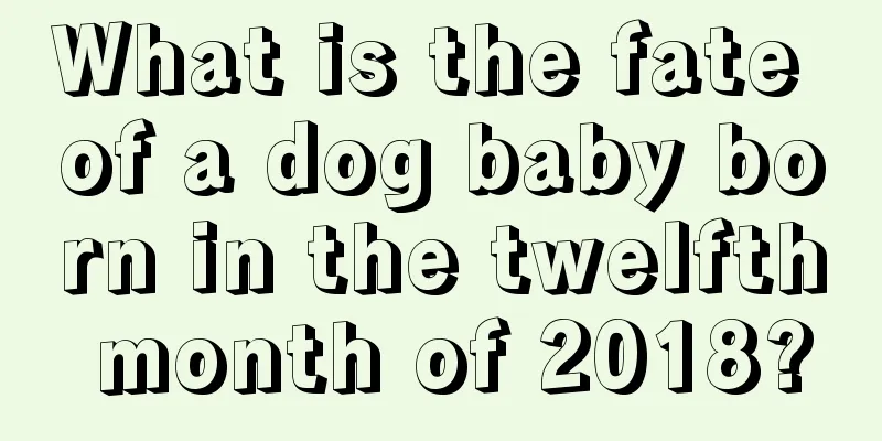 What is the fate of a dog baby born in the twelfth month of 2018?