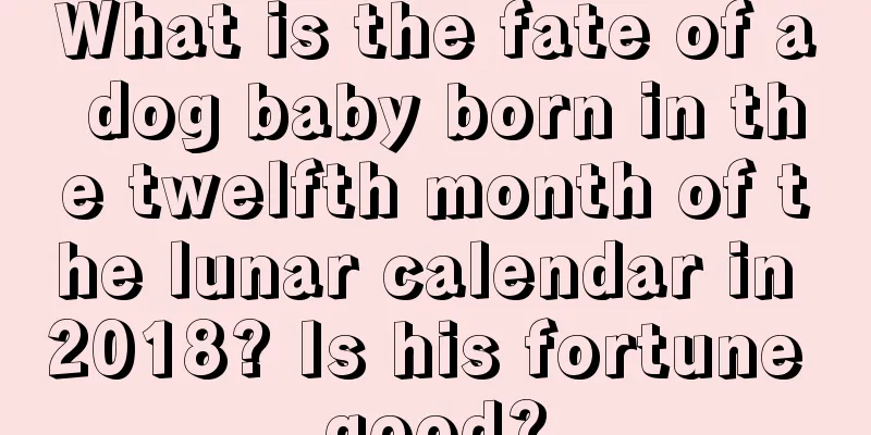 What is the fate of a dog baby born in the twelfth month of the lunar calendar in 2018? Is his fortune good?