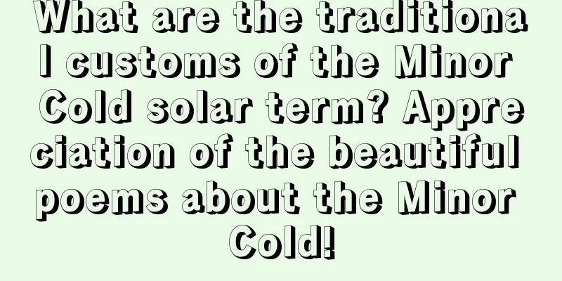 What are the traditional customs of the Minor Cold solar term? Appreciation of the beautiful poems about the Minor Cold!