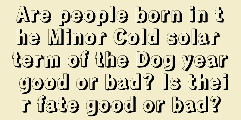 Are people born in the Minor Cold solar term of the Dog year good or bad? Is their fate good or bad?