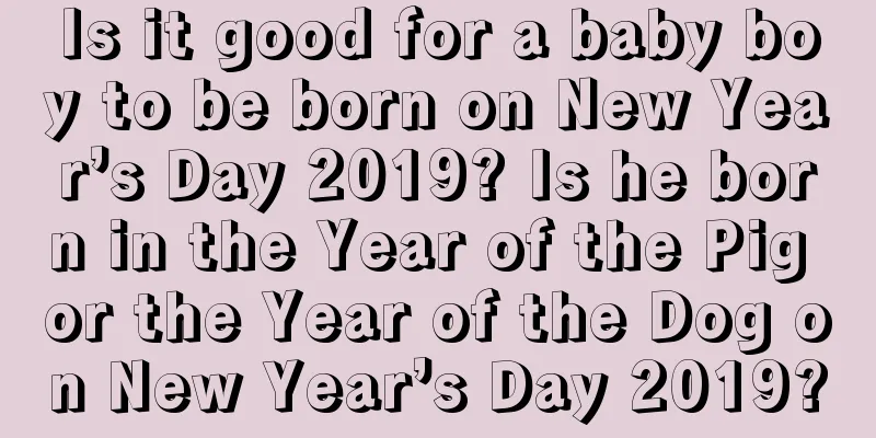 Is it good for a baby boy to be born on New Year’s Day 2019? Is he born in the Year of the Pig or the Year of the Dog on New Year’s Day 2019?