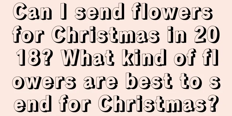 Can I send flowers for Christmas in 2018? What kind of flowers are best to send for Christmas?