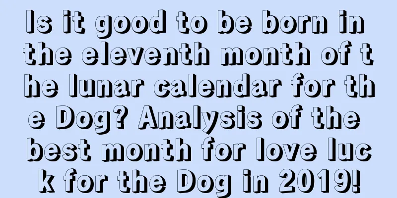 Is it good to be born in the eleventh month of the lunar calendar for the Dog? Analysis of the best month for love luck for the Dog in 2019!