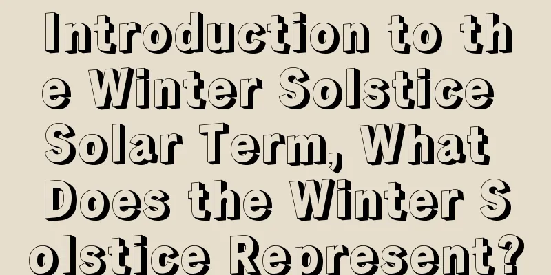 Introduction to the Winter Solstice Solar Term, What Does the Winter Solstice Represent?