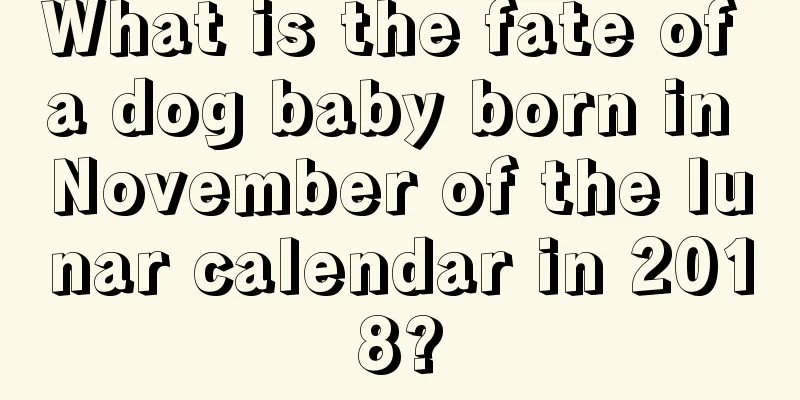 What is the fate of a dog baby born in November of the lunar calendar in 2018?