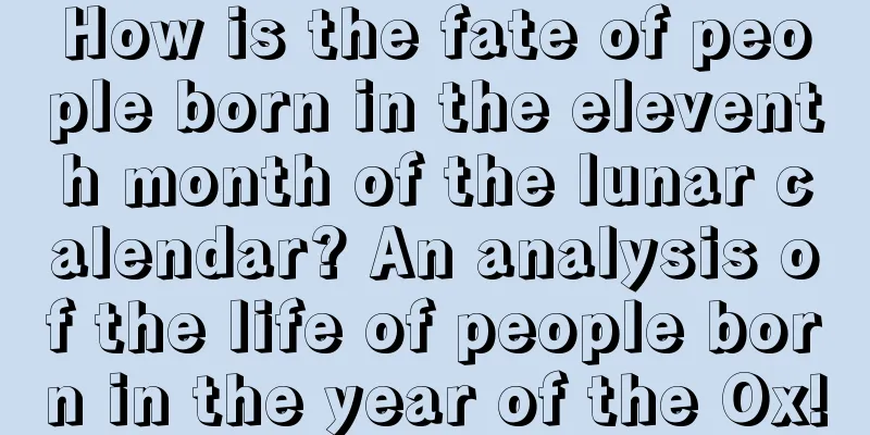 How is the fate of people born in the eleventh month of the lunar calendar? An analysis of the life of people born in the year of the Ox!
