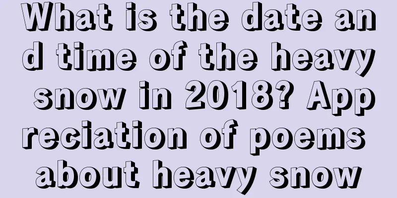 What is the date and time of the heavy snow in 2018? Appreciation of poems about heavy snow