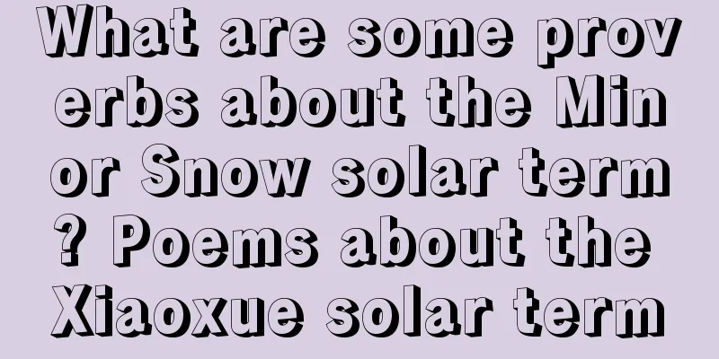 What are some proverbs about the Minor Snow solar term? Poems about the Xiaoxue solar term