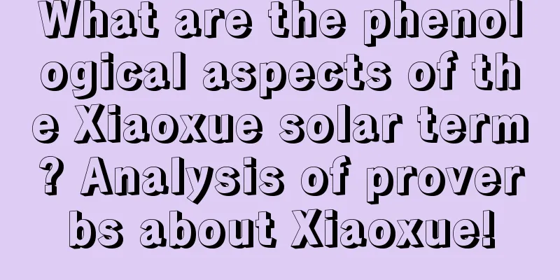What are the phenological aspects of the Xiaoxue solar term? Analysis of proverbs about Xiaoxue!