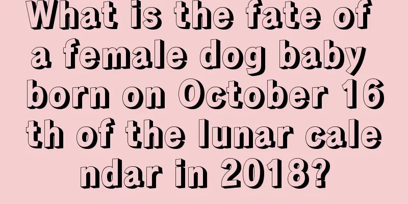What is the fate of a female dog baby born on October 16th of the lunar calendar in 2018?