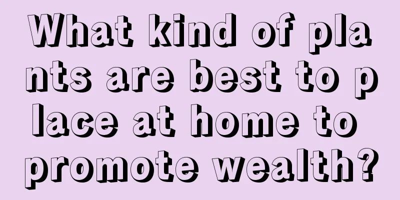 What kind of plants are best to place at home to promote wealth?