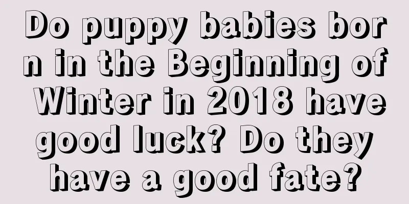 Do puppy babies born in the Beginning of Winter in 2018 have good luck? Do they have a good fate?