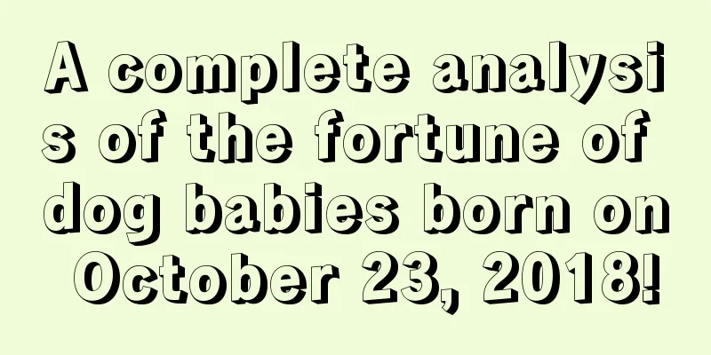 A complete analysis of the fortune of dog babies born on October 23, 2018!