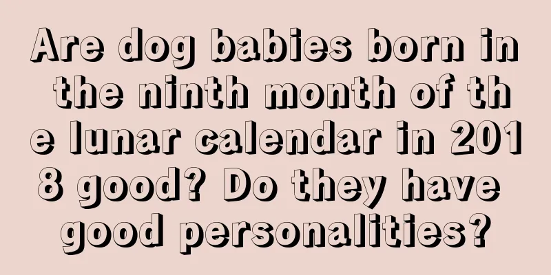 Are dog babies born in the ninth month of the lunar calendar in 2018 good? Do they have good personalities?