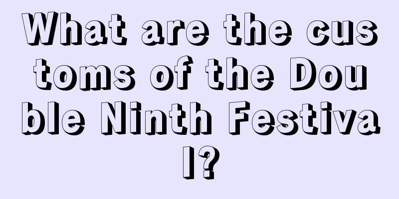 What are the customs of the Double Ninth Festival?