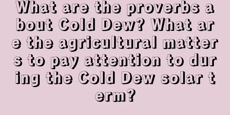 What are the proverbs about Cold Dew? What are the agricultural matters to pay attention to during the Cold Dew solar term?