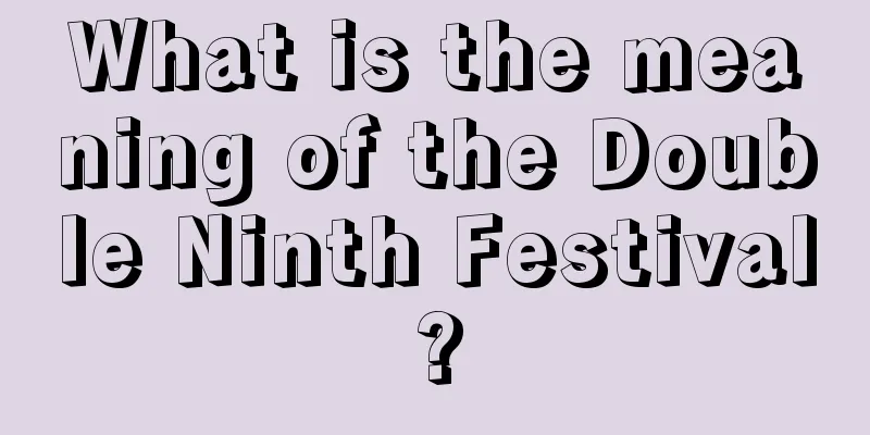 What is the meaning of the Double Ninth Festival?