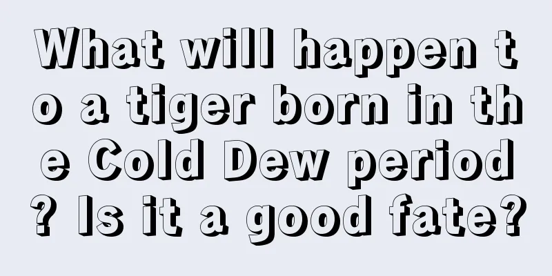 What will happen to a tiger born in the Cold Dew period? Is it a good fate?