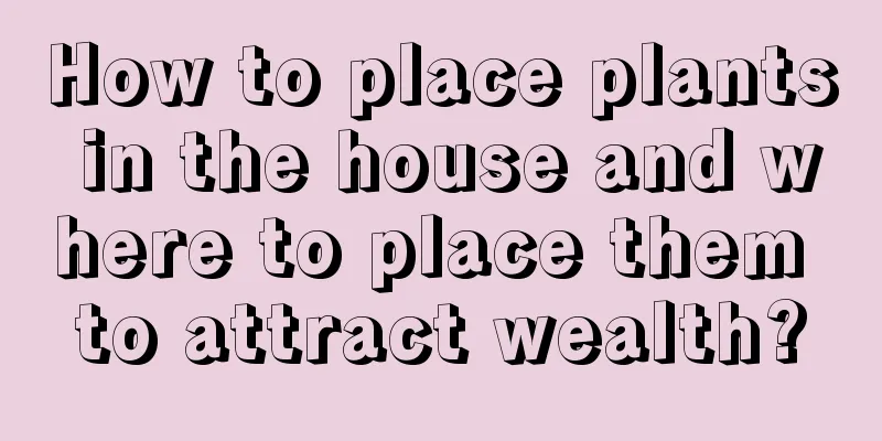 How to place plants in the house and where to place them to attract wealth?