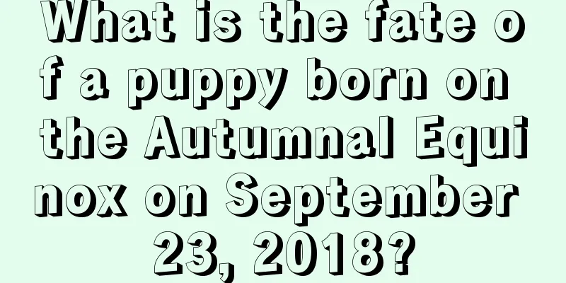 What is the fate of a puppy born on the Autumnal Equinox on September 23, 2018?