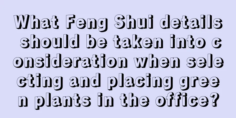 What Feng Shui details should be taken into consideration when selecting and placing green plants in the office?